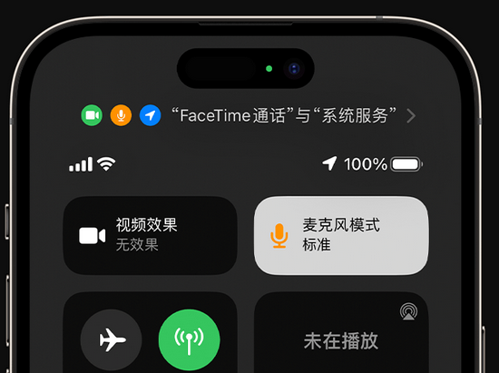 红安苹果授权维修网点分享iPhone在通话时让你的声音更清晰 