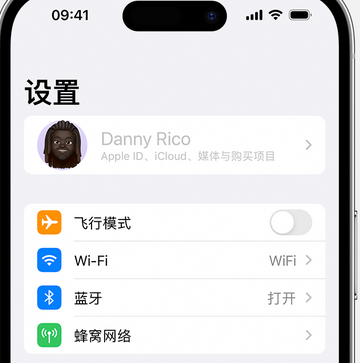 红安appleID维修服务iPhone设置中Apple ID显示为灰色无法使用 