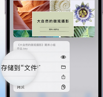 红安apple维修中心分享iPhone文件应用中存储和找到下载文件