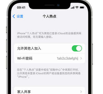 红安apple服务站点分享iPhone上个人热点丢失了怎么办 