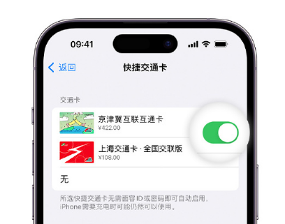 红安apple维修点分享iPhone上更换Apple Pay快捷交通卡手绘卡面 