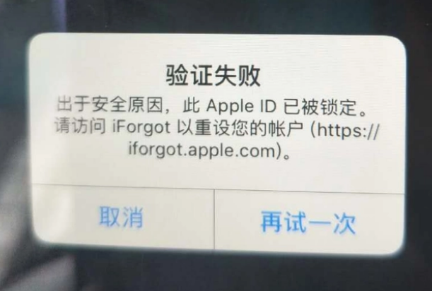 红安iPhone维修分享iPhone上正常登录或使用AppleID怎么办 