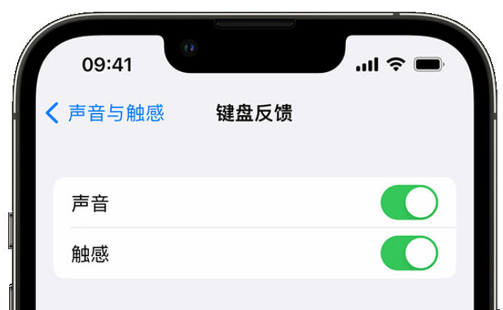 红安苹果手机维修分享iPhone 14触感键盘使用方法 