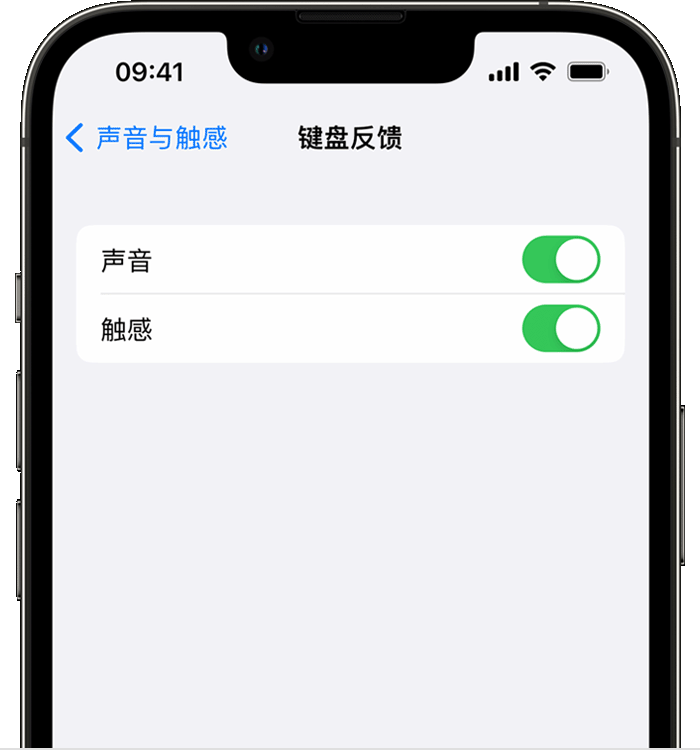 红安苹果14维修店分享如何在 iPhone 14 机型中使用触感键盘 