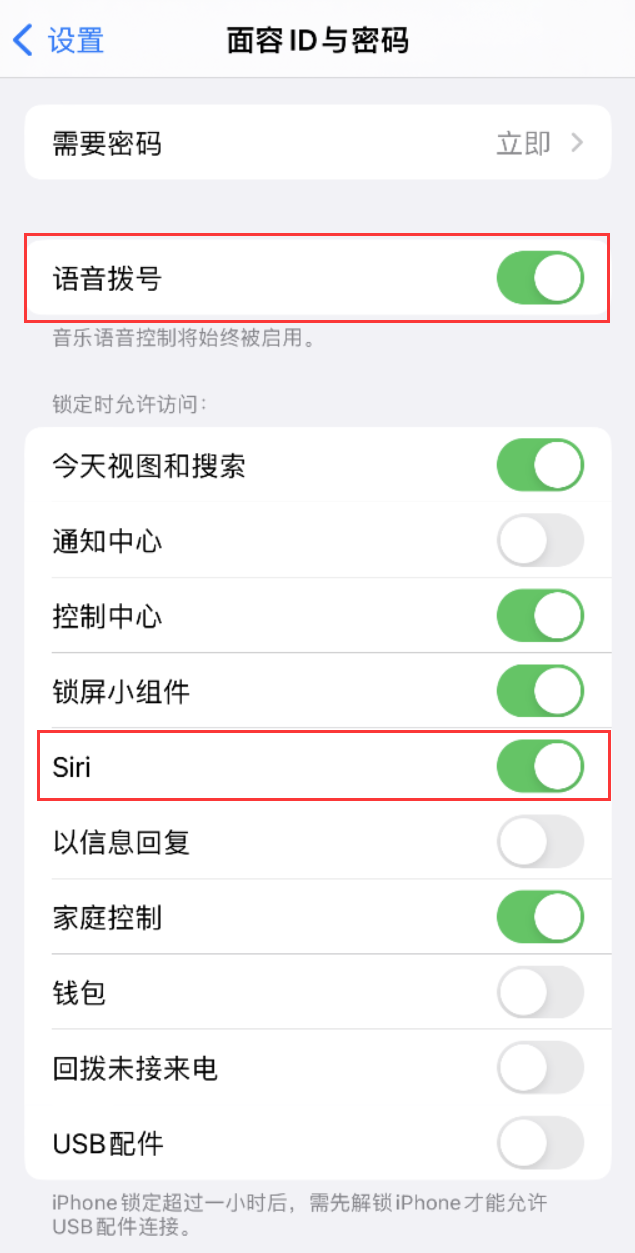 红安苹果维修网点分享不解锁 iPhone 的情况下通过 Siri 拨打电话的方法 