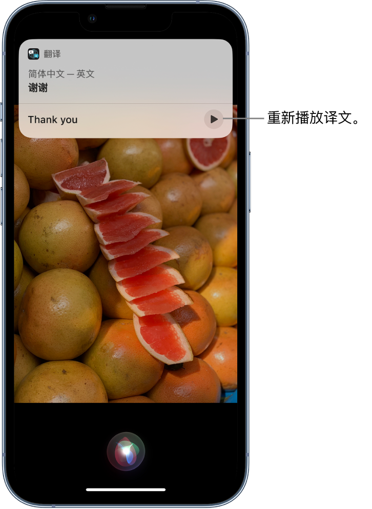 红安苹果14维修分享 iPhone 14 机型中使用 Siri：了解 Siri 能帮你做什么 