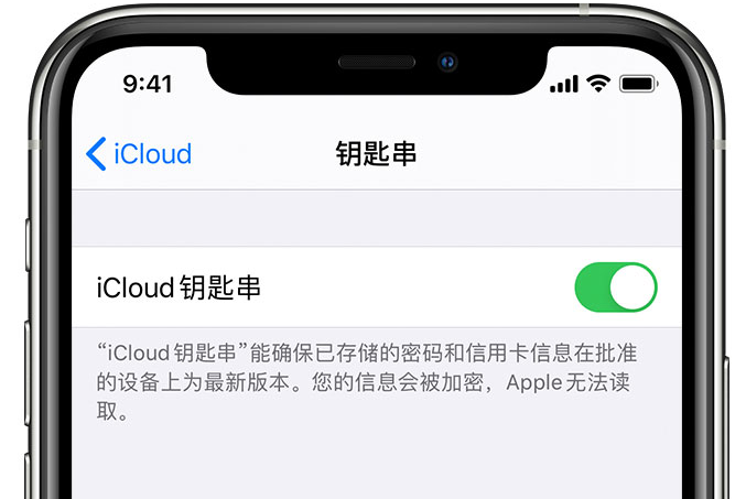 红安苹果手机维修分享在 iPhone 上开启 iCloud 钥匙串之后会储存哪些信息 